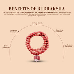 10 Mukhi Rudraksha With 5 Mukhi Rudraksha Mala