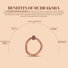 10 Mukhi Rudraksha Bracelet