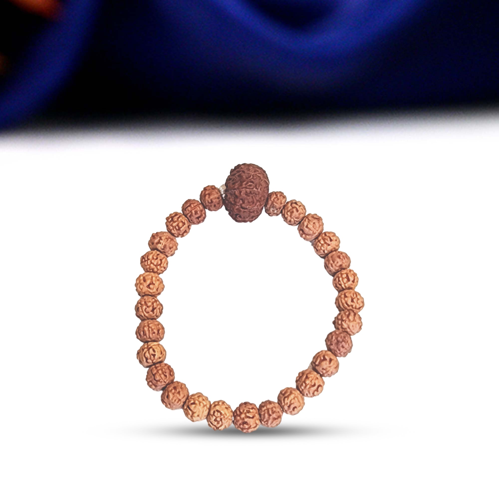 10 Mukhi Rudraksha Bracelet