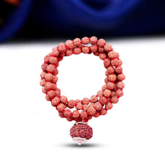 10 Mukhi Rudraksha With 5 Mukhi Rudraksha Mala