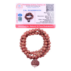 10 Mukhi Rudraksha With 5 Mukhi Rudraksha Mala