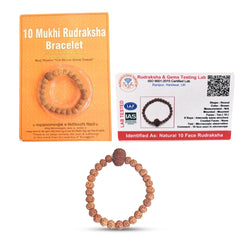 10 Mukhi Rudraksha Bracelet