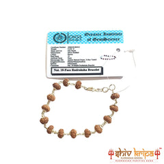 2 Mukhi Rudraksha Bracelet in Pure Silver 92.5ct