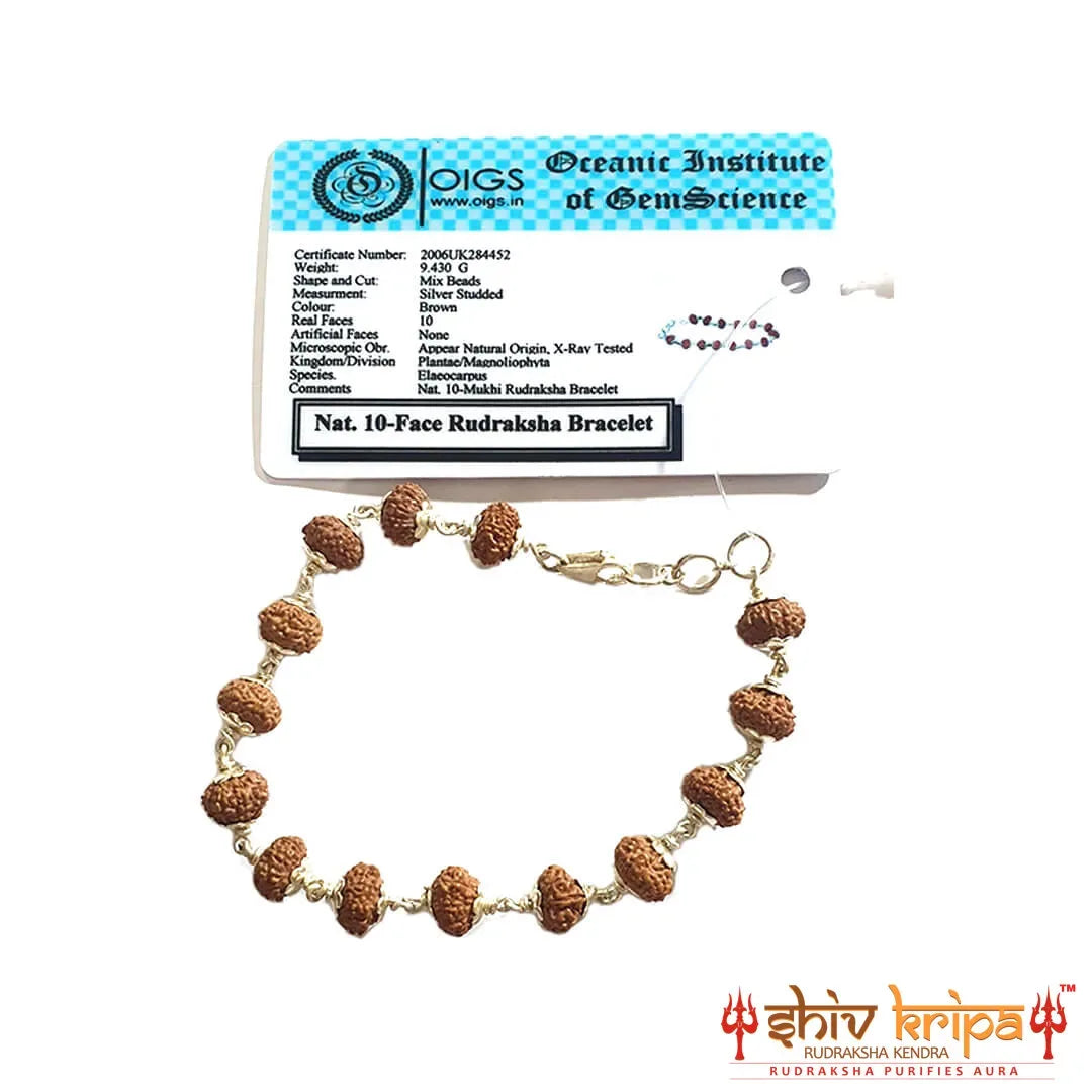 10 Mukhi Rudraksha Bracelet in Pure Silver 92.5ct