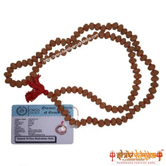 Real 10 Mukhi Rudraksha Mala with Certification