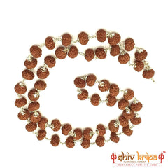 10 mukhi rudraksha mala in pure silver, 54+1 beads 9mm size