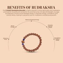 11 Mukhi Rudraksha Bracelet