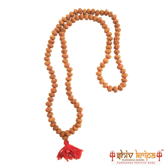 11 mukhi rudraksha mala, 108+1 beads