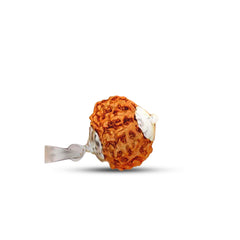 11 Mukhi Rudraksha (Indonesian)