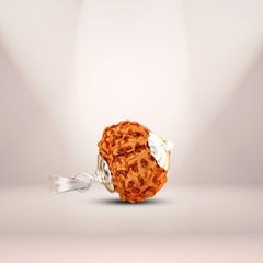 11 Mukhi Rudraksha (Indonesian)