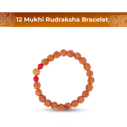 12 Mukhi Rudraksha Bracelet