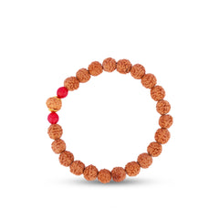 12 Mukhi Rudraksha Bracelet