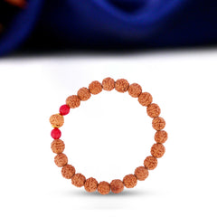 12 Mukhi Rudraksha Bracelet