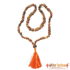 12 mukhi rudraksha mala, 108+1 beads