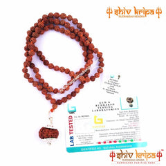 12 Mukhi Rudraksha with 5 Mukhi Rudraksha Mala