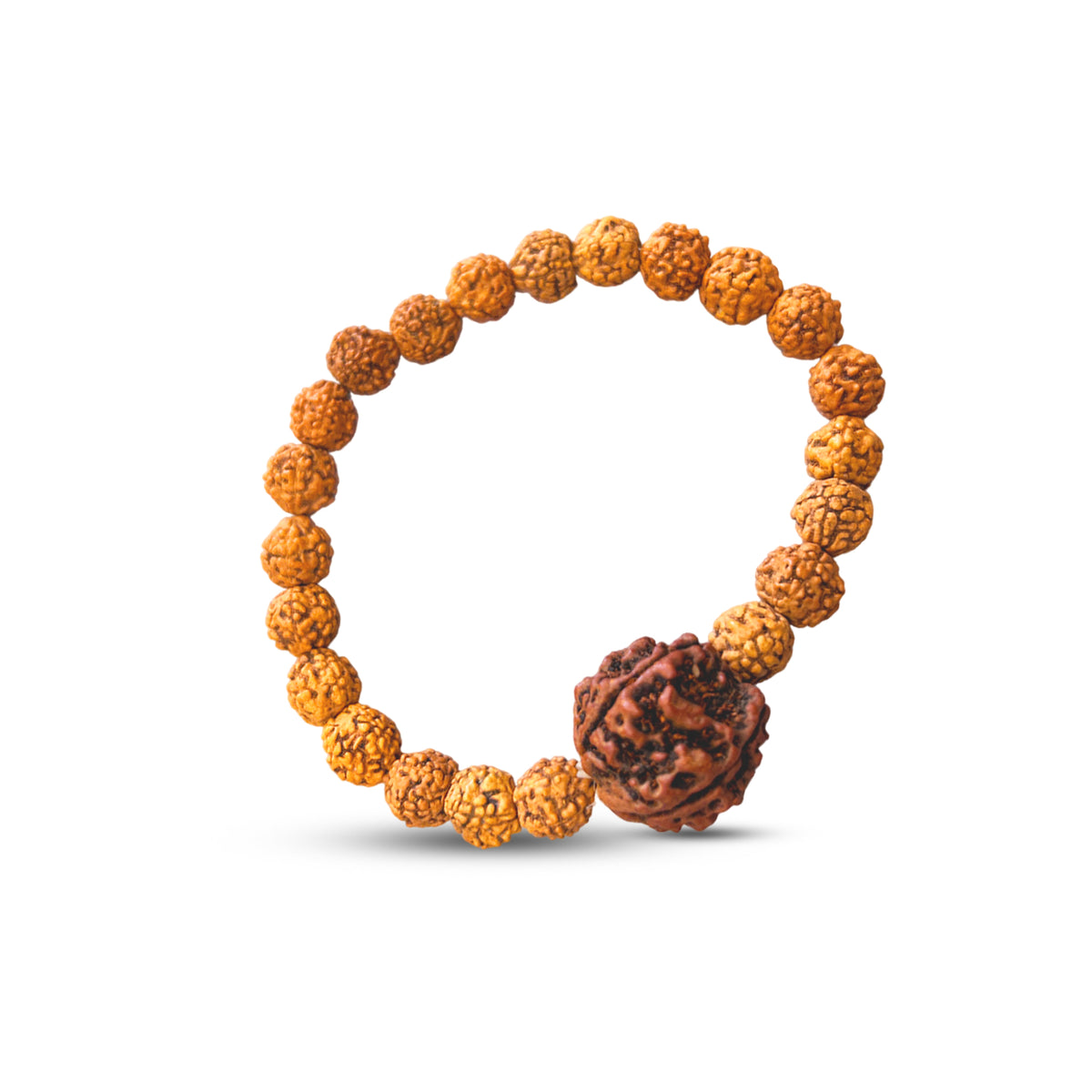 13 Mukhi Rudraksha Bracelet