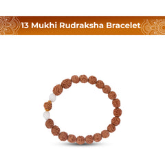 13 Mukhi Rudraksha Bracelet