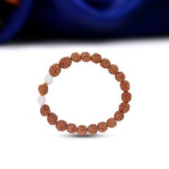 13 Mukhi Rudraksha Bracelet