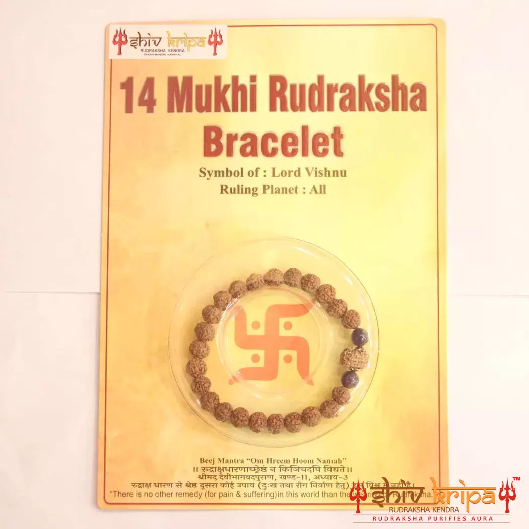 14 Mukhi Rudraksha Bracelet