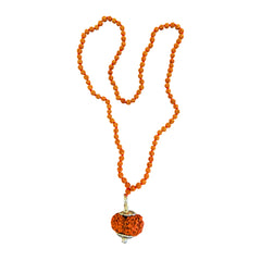 11 Mukhi Rudraksha With 5 Mukhi Rudraksha Mala