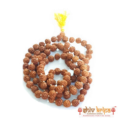 5 Mukhi Rudraksha Mala Original