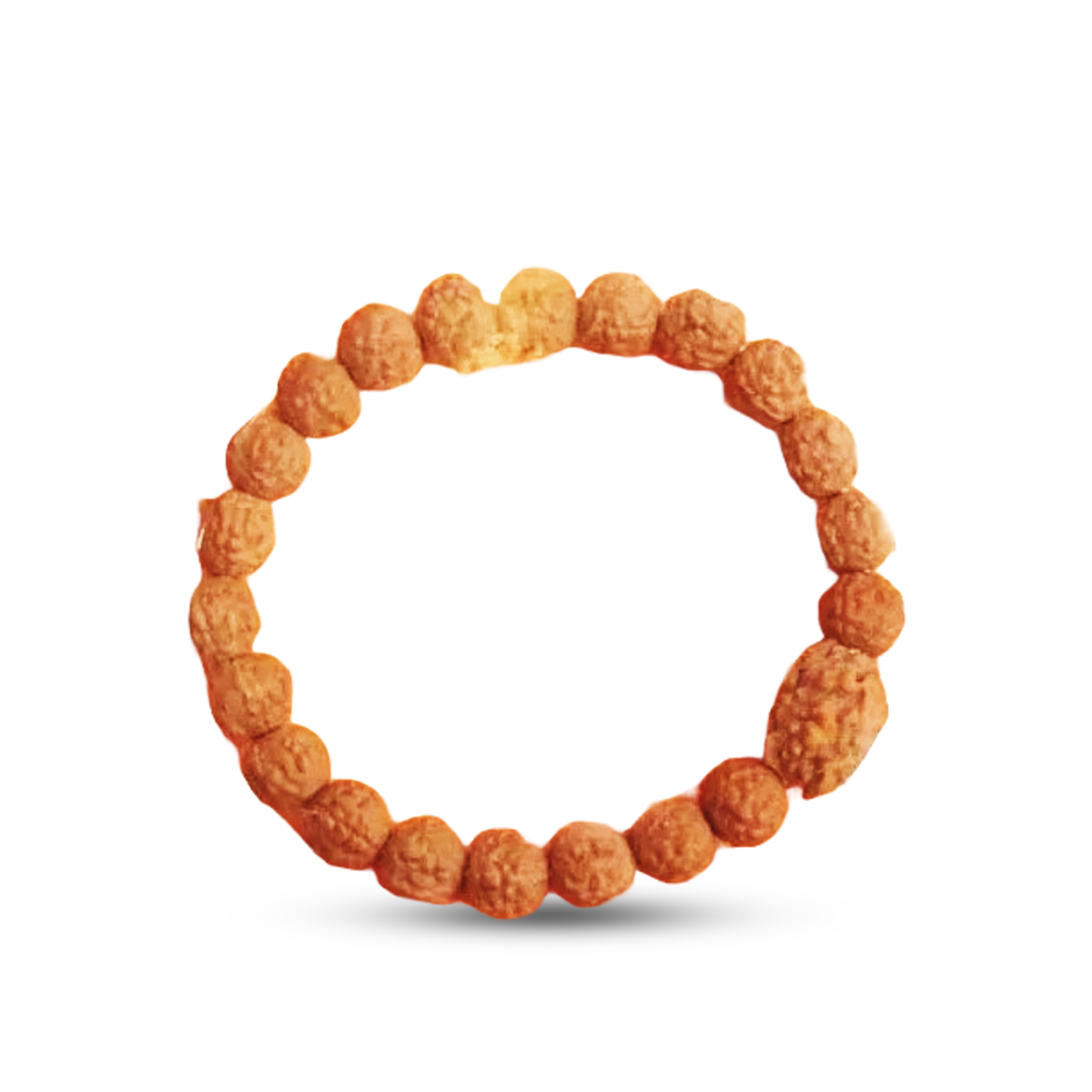 2 Mukhi Rudraksha Bracelet