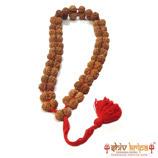 Gauri Shankar Rudraksha Kantha Mala