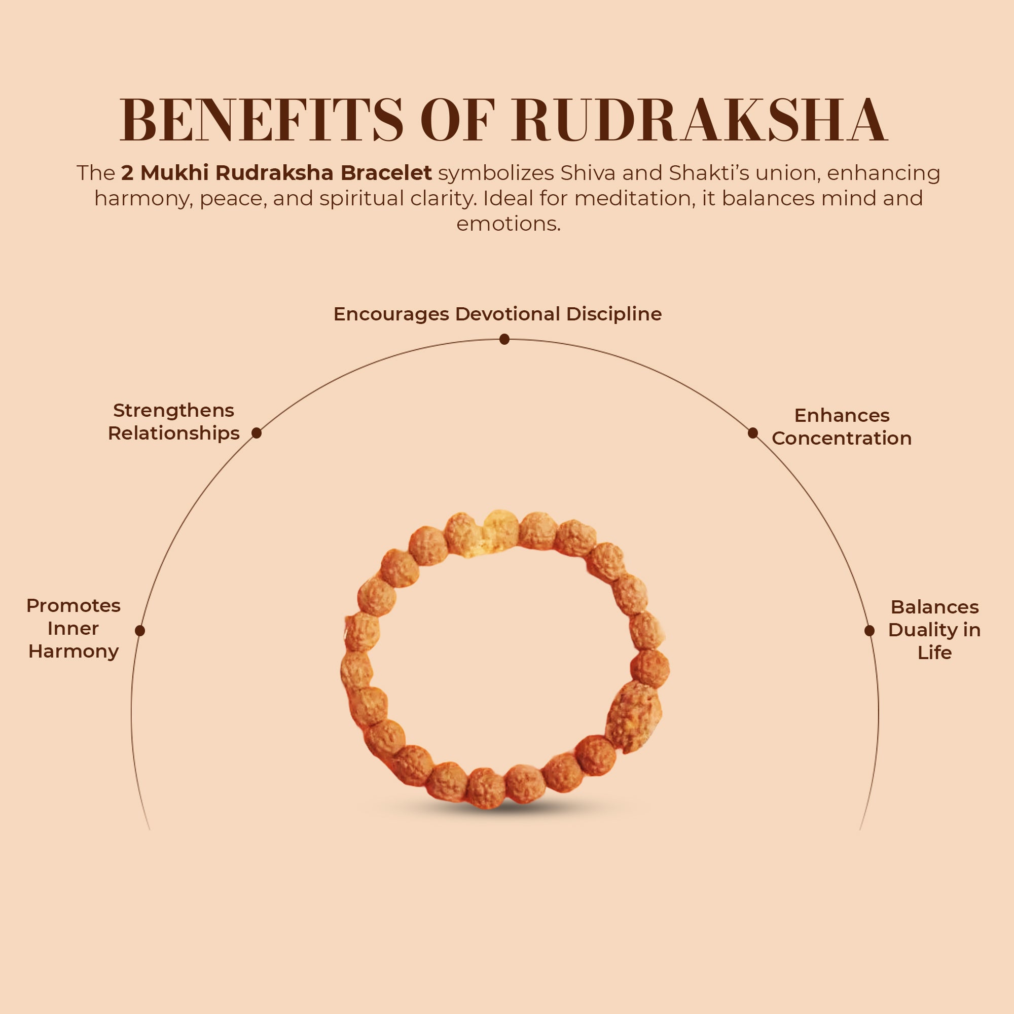 2 Mukhi Rudraksha Bracelet