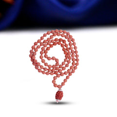 2 Mukhi Rudraksha With 5 Mukhi Rudraksha Mala