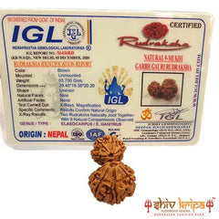 Garbh Gauri (Nepali) - Medium