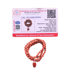 2 Mukhi Rudraksha With 5 Mukhi Rudraksha Mala