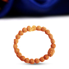 2 Mukhi Rudraksha Bracelet