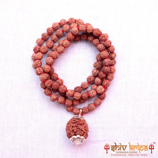 4 Mukhi Rudraksha With 5 Mukhi Rudraksha Mala