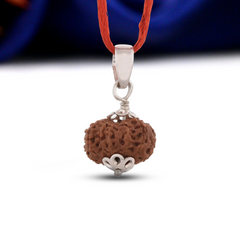 20 Mukhi Rudraksha (Indonesian)