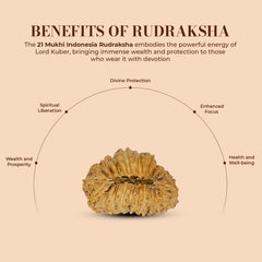 21 Mukhi Rudraksha (Indonesian)