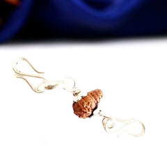 21 Mukhi Rudraksha (Nepali) - Medium