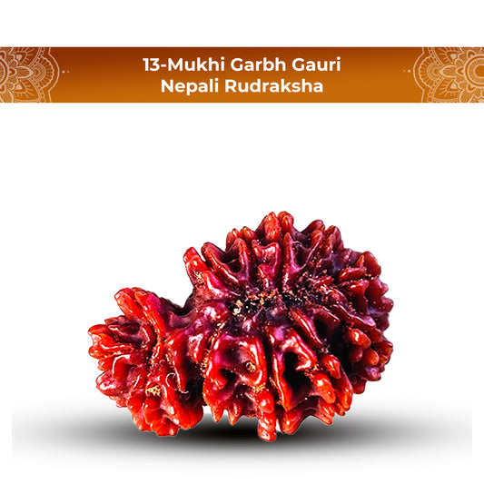 Garbh Gauri ( Nepali) - Medium