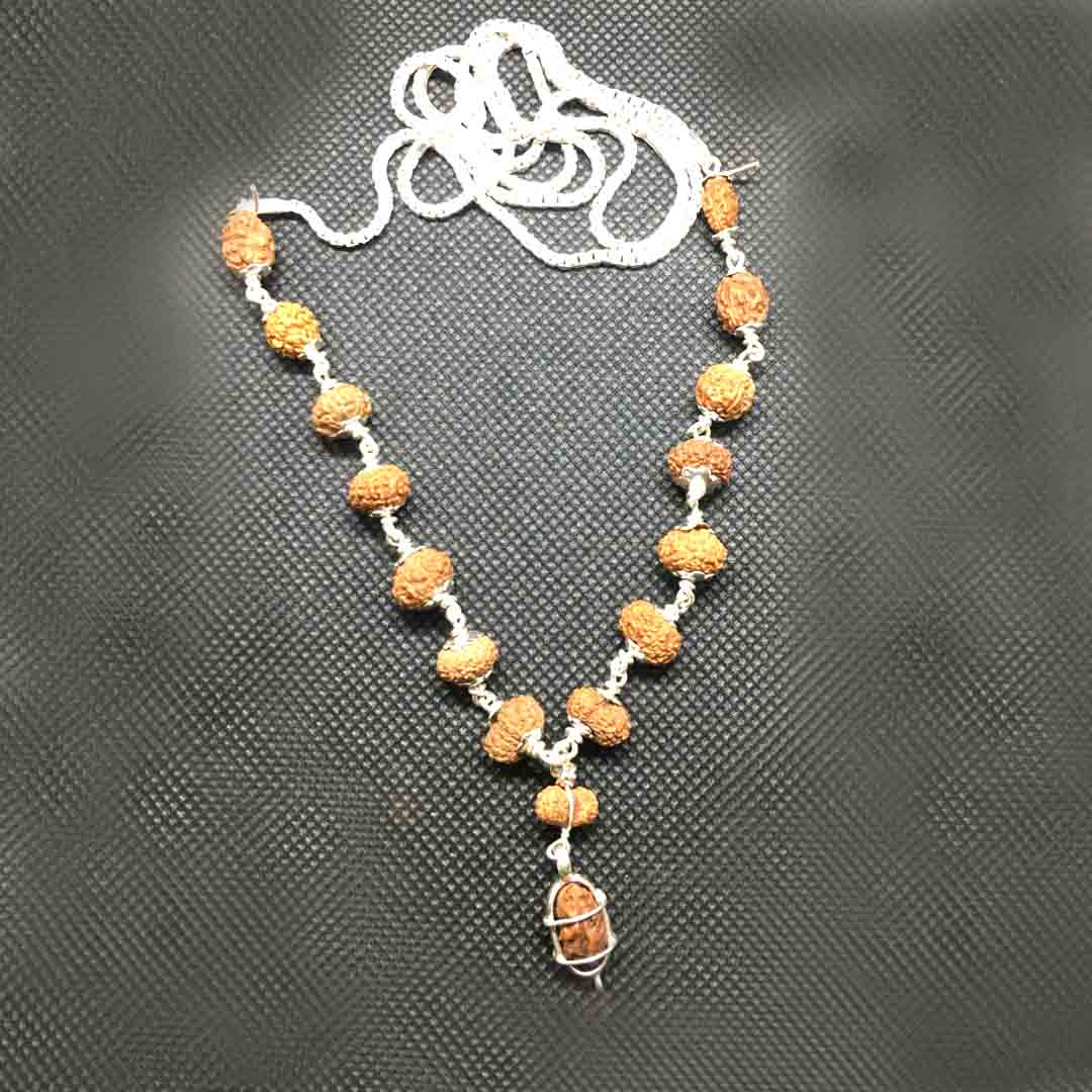 Sarv Sidh 1 to14 Mukhi Rudraksha Mala