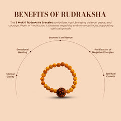 3 Mukhi Rudraksha Bracelet