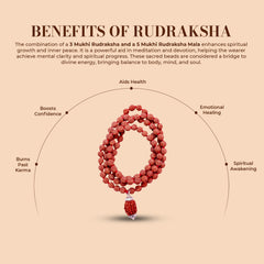 3 Mukhi Rudraksha With 5 Mukhi Rudraksha Mala