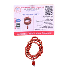 3 Mukhi Rudraksha With 5 Mukhi Rudraksha Mala