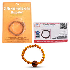 3 Mukhi Rudraksha Bracelet