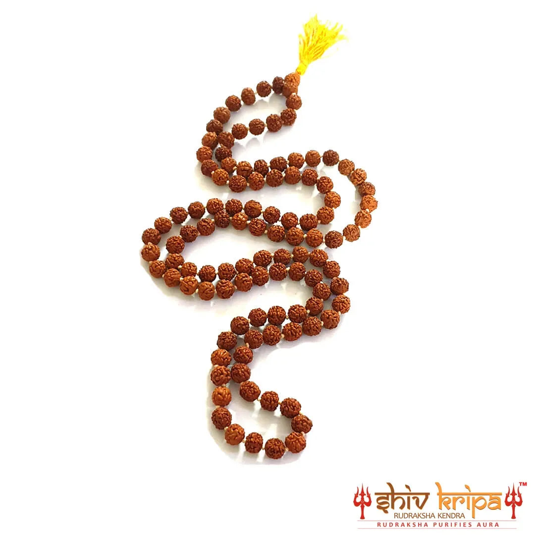 5 Mukhi Rudraksha Mala Original