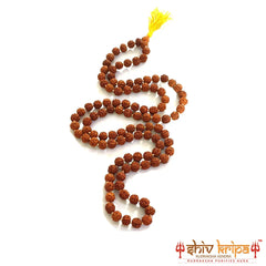 5 Mukhi Rudraksha Mala Original