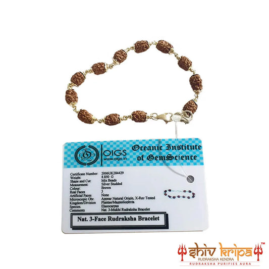 3 Mukhi Rudraksha Bracelet in Pure Silver 92.5ct