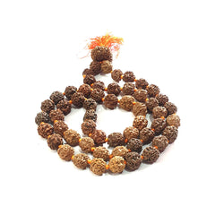 3 mukhi rudraksha mala 55 beads