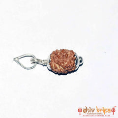 2 Mukhi Rudraksha (Himalayan Premium)