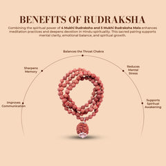 4 Mukhi Rudraksha With 5 Mukhi Rudraksha Mala