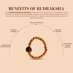 4 Mukhi Rudraksha Bracelet