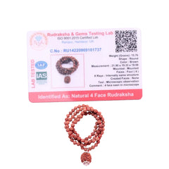 4 Mukhi Rudraksha With 5 Mukhi Rudraksha Mala